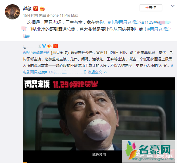 两只老虎定档是什么时候 电影《两只老虎》讲的什么剧情?