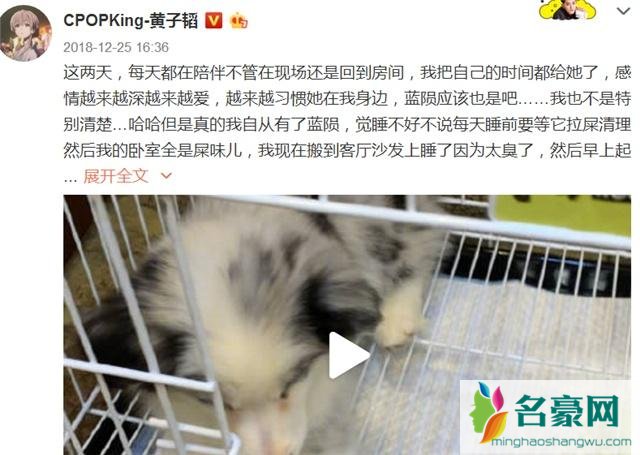 黄子韬被爱犬咬伤怎么回事 被宠物狗咬伤怎么处理?