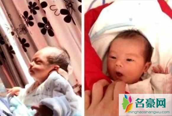 偶遇baby小海绵怎么回事 小海绵长什么样？