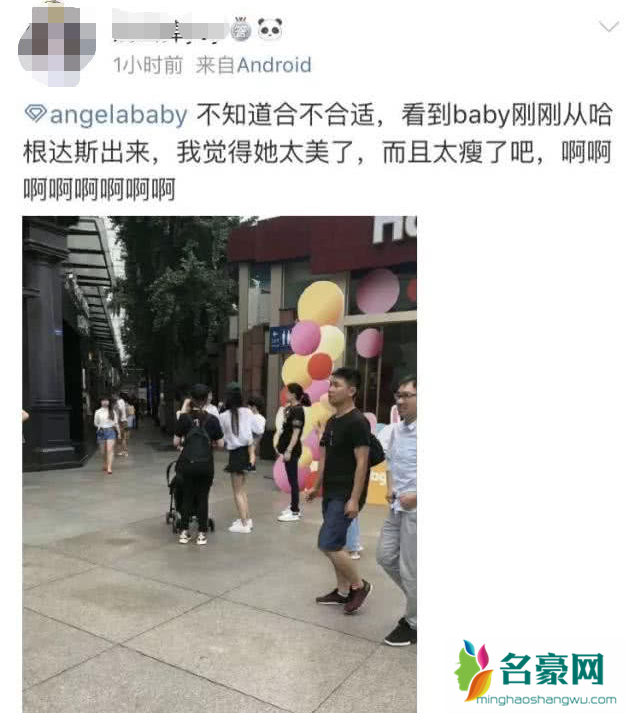 偶遇baby小海绵怎么回事 小海绵长什么样？