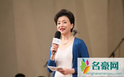 杨澜个人资料传记经历 杨澜家庭背景简介