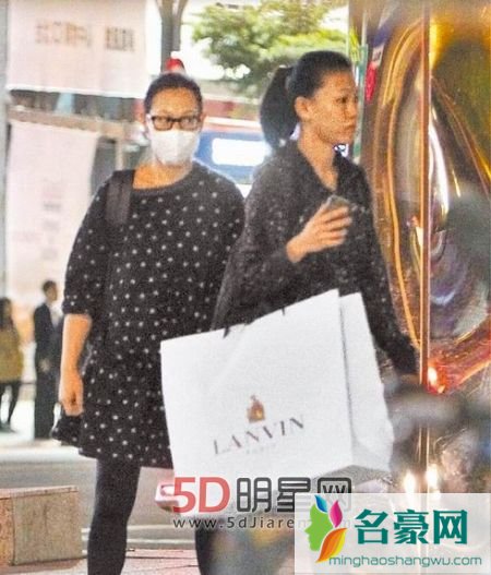 刘若英生子了吗 45岁刘若英台北高龄产子