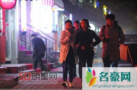 刘若英生子了吗 45岁刘若英台北高龄产子