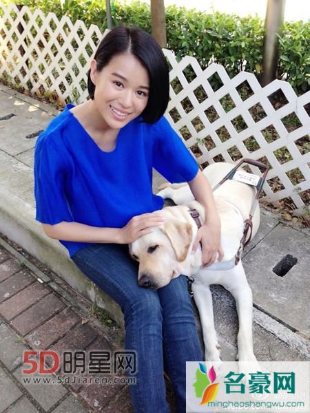 胡杏儿主演的最新电视剧 胡杏儿古装电视剧