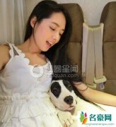 郭碧婷与爱犬自拍 王思聪喜欢郭碧婷吗