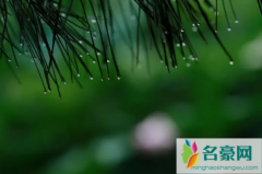 2022年4月会下暴雨吗 2022年4月气温大概多少度