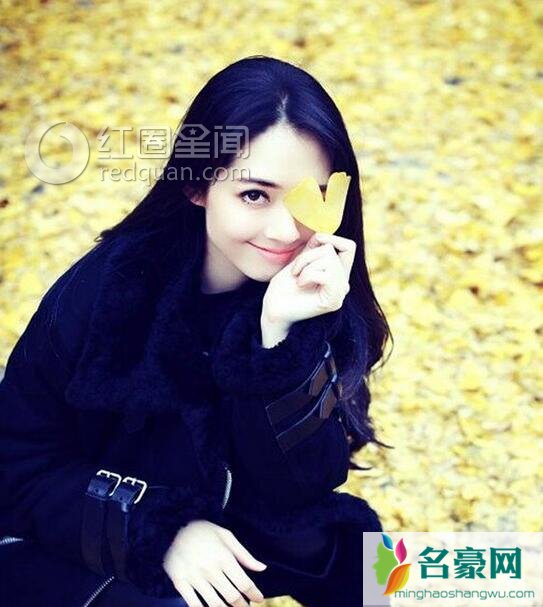 郭碧婷为什么这么美