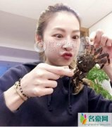 何润东怎么认识老婆的 何润东老婆做什么的