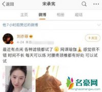 刘亦菲和宋承宪怎么在一起的 两人分手原因是什么