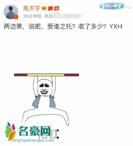 马天宇怼营销号怎么回事