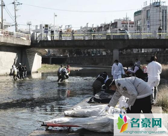 铁线虫入侵最后一幕什么意思