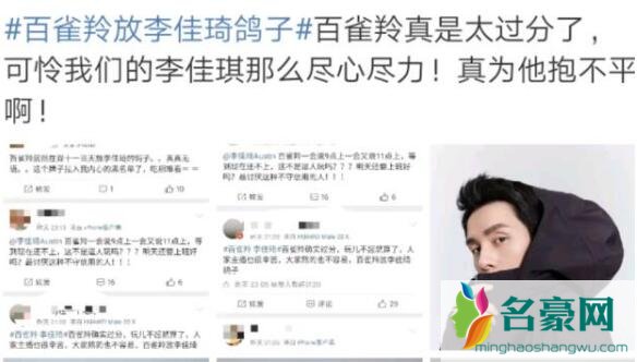 百雀羚放李佳琦鸽子怎么回事