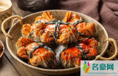 青蟹和大闸蟹哪个肉多一点 大闸蟹和青蟹有什么区别