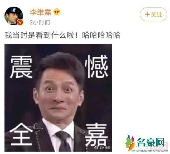 维嘉回应表情包说了什么 李维嘉的表情包出自哪里?