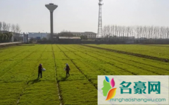 2023年除夕冷不冷 除夕天气怎么样