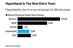 彭博社特稿：币安劲敌，一文读懂 Hyperliquid 如何成功抢占市场份额