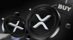 2025最佳XRP钱包推荐 XRP钱包选择指南