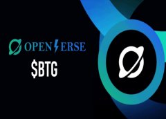 Openverse Network (BTG) 币是什么？BTG代币经济学、路线图及价格预测 Openverse Net